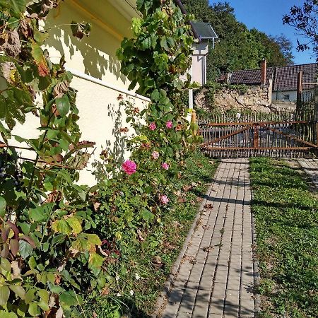 Trenčín Lately Renovated Country House מראה חיצוני תמונה