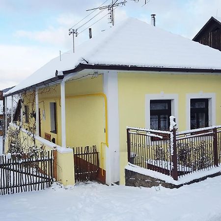 Trenčín Lately Renovated Country House מראה חיצוני תמונה
