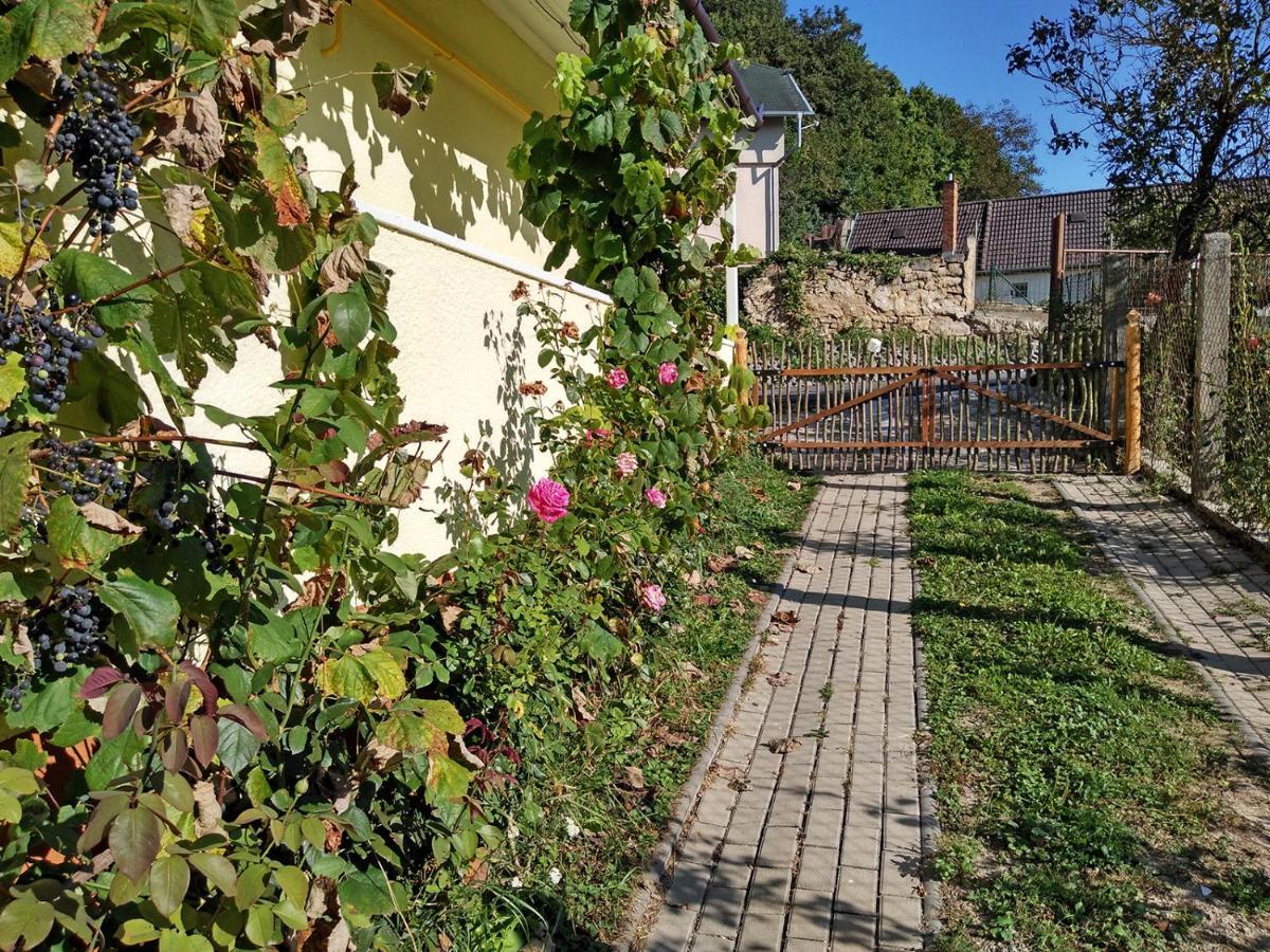 Trenčín Lately Renovated Country House מראה חיצוני תמונה