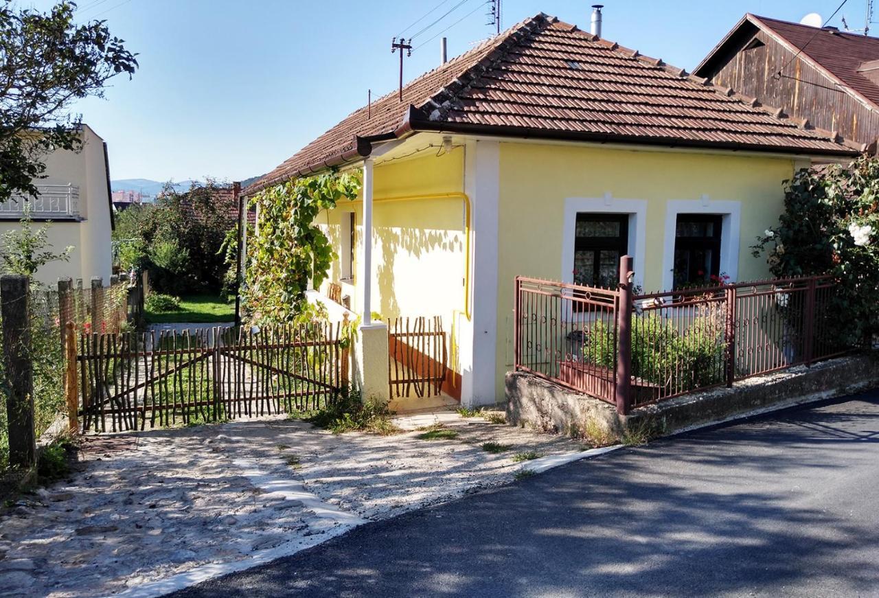Trenčín Lately Renovated Country House מראה חיצוני תמונה
