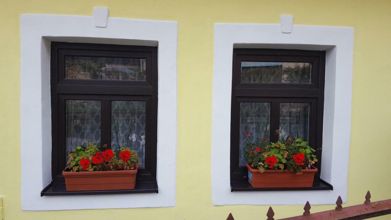 Trenčín Lately Renovated Country House מראה חיצוני תמונה